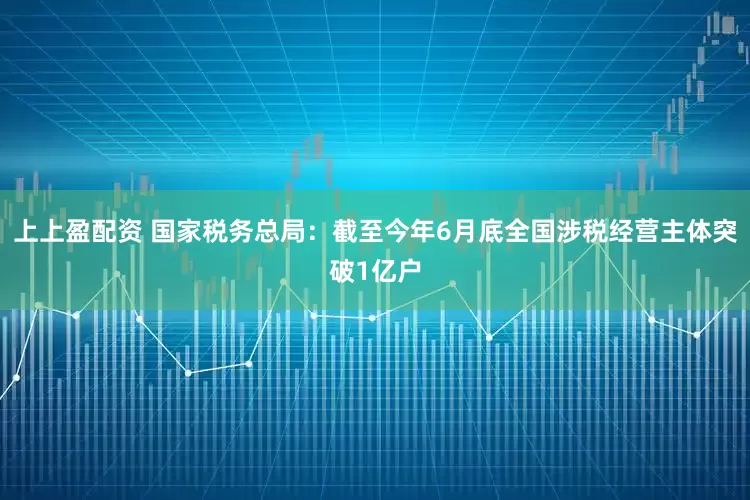 上上盈配资 国家税务总局：截至今年6月底全国涉税经营主体突破1亿户